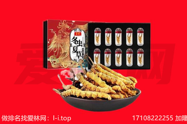 祁阳县回收虫草.jpg